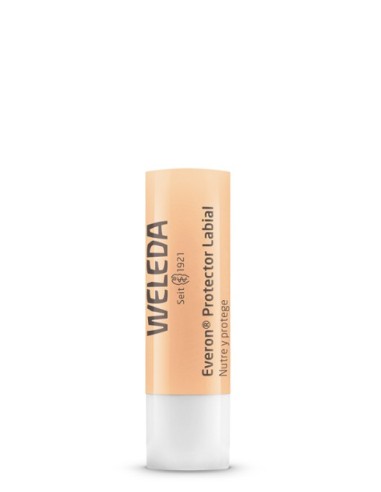 Protector Labial Everon