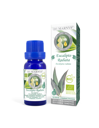 Aceite esencial eucalipto radiata 10ml.