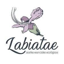 Labiatae