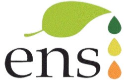 Ens