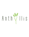 Anthyllis