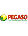 Pegaso